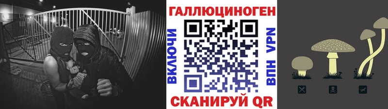Псилоцибиновые грибы GOLDEN TEACHER  Приморск 